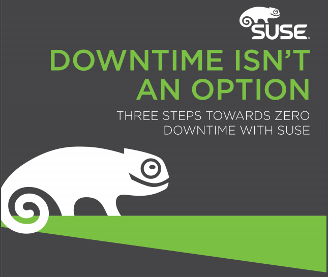 SUSE to Achieve the Zero Downtime Goal